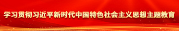 ……啊啊啊啪啪学习贯彻习近平新时代中国特色社会主义思想主题教育